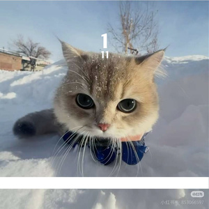 把难过说成习惯