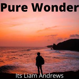 Pure Wonder
