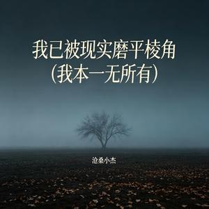 我已被现实磨平棱角（我本一无所有）