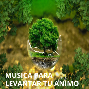 Levantando Tu Animo Con Piano