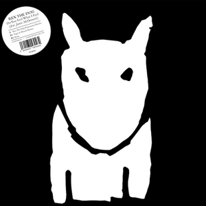 Do You Feel What I Feel (remix)