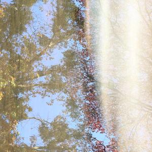 Limerence (feat. digifern)