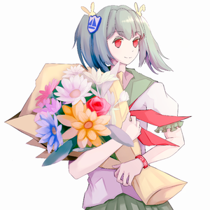 我不再等待春天