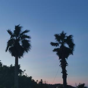 随笔（Prod.T.F.G)