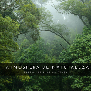 Capturando Naturaleza