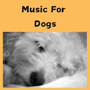 Music for Dogs