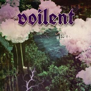 Voilent