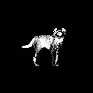 Cyber Noise
