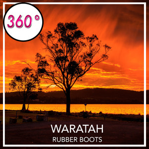 Waratah (Instrumental Mix)
