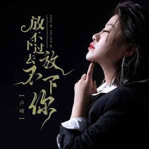 放不下过去放不下你 (伴奏)