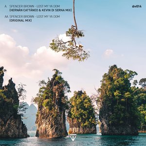 Lost My Ya Dom (Hernan Cattaneo & Kevin Di Serna Remix)