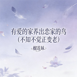 有爱的家养出恋家的鸟(不知不觉正变老)