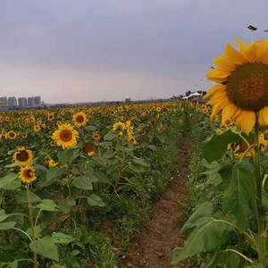 难忘的终将会遗忘