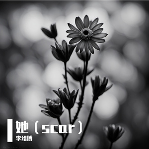 她（scar）