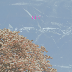 [FREE] Nubajes type beat "LUV"