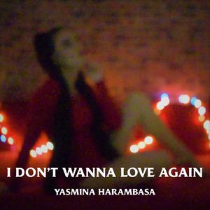 I Don't Wanna Love Again