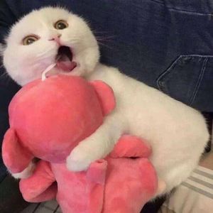 DJ Mr.Steven - Top 40 Music Mix 2018 Mix Tape