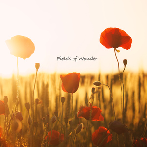 Fields Of Wonder
