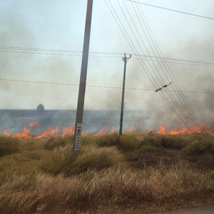 Welt der Fragezeichen