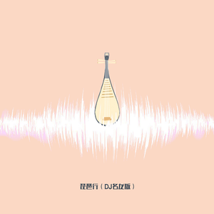 琵琶行 (DJ名龙版)