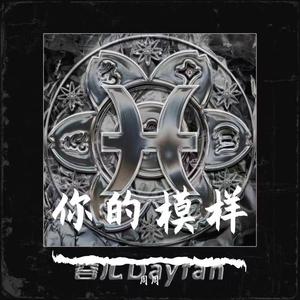 你的模样