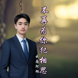 不再为你犯相思