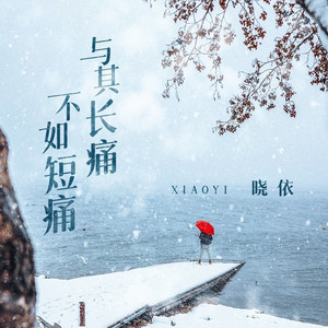 与其长痛不如短痛 (DJ野花版)