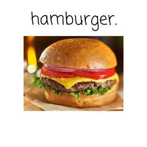Hamburger