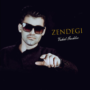 Zendegi