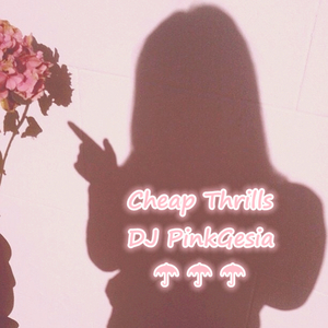 Sia X Sean Paul - Cheap Thrills (DJ Mr.SouRce x MoomBahtoon)