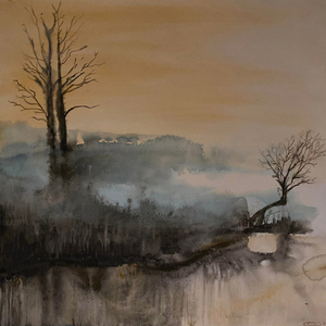 Vintervandring ved Årslev Engsø