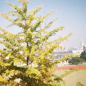 爱我再多一点点