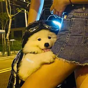 can u kiss me more（翻自 Doja Cat）