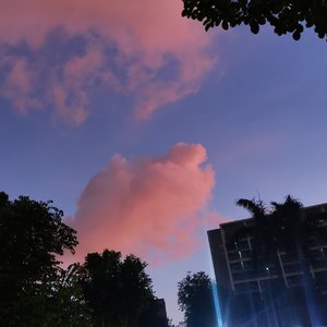 你是我唯一追寻的方向