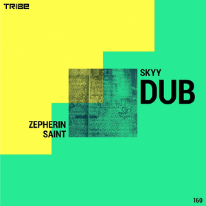Skyy (Dub Instrumental)