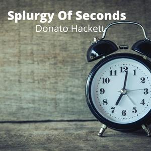 Splurgy Of Seconds