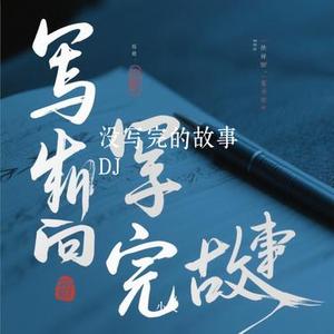 没写完的故事DJ