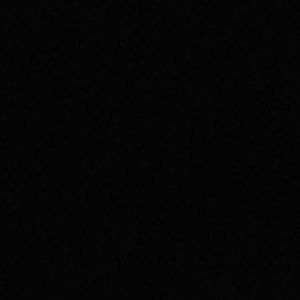 你比冬天先来 又比冬天先走