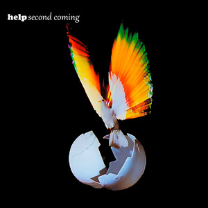 Do You Understand the Words