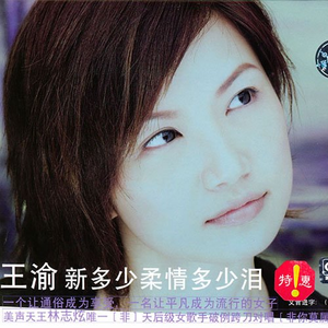 新多少柔情多少泪