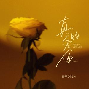 真的爱你 (DJPad仔版)