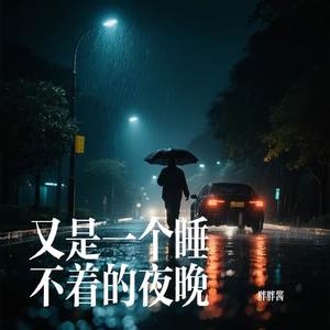 又是一个睡不着的夜晚