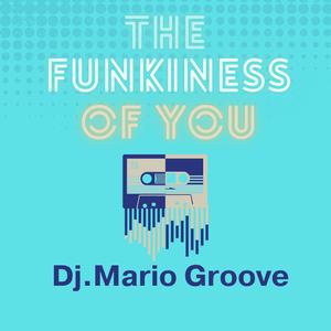 The Funkiness Of You (Groove Remix)