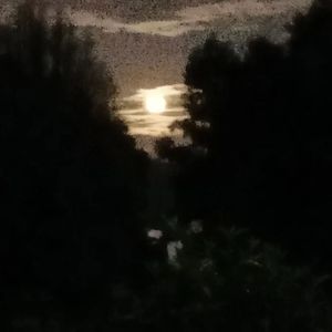 回忆痛 Memories pain