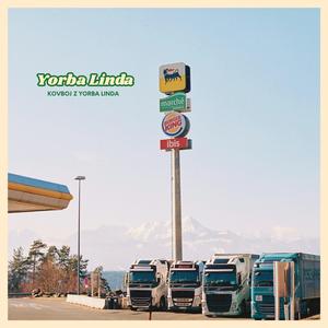 Krávy čilujou na louce (na té krásné Šumavě)