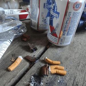 #SHEDBUMP2024 (feat. VERY BORING & SXXKXR)