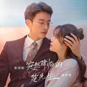 来不及说再见（影视剧《突然降临的楚先生》插曲）