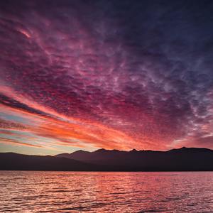 Baylee（prod by Arum）