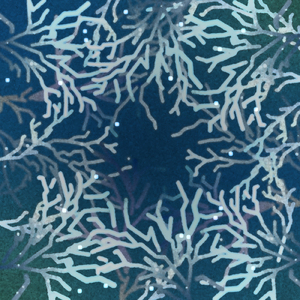 樹海 (feat. TENDRE)