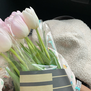 Mekar (Blossom Cover)